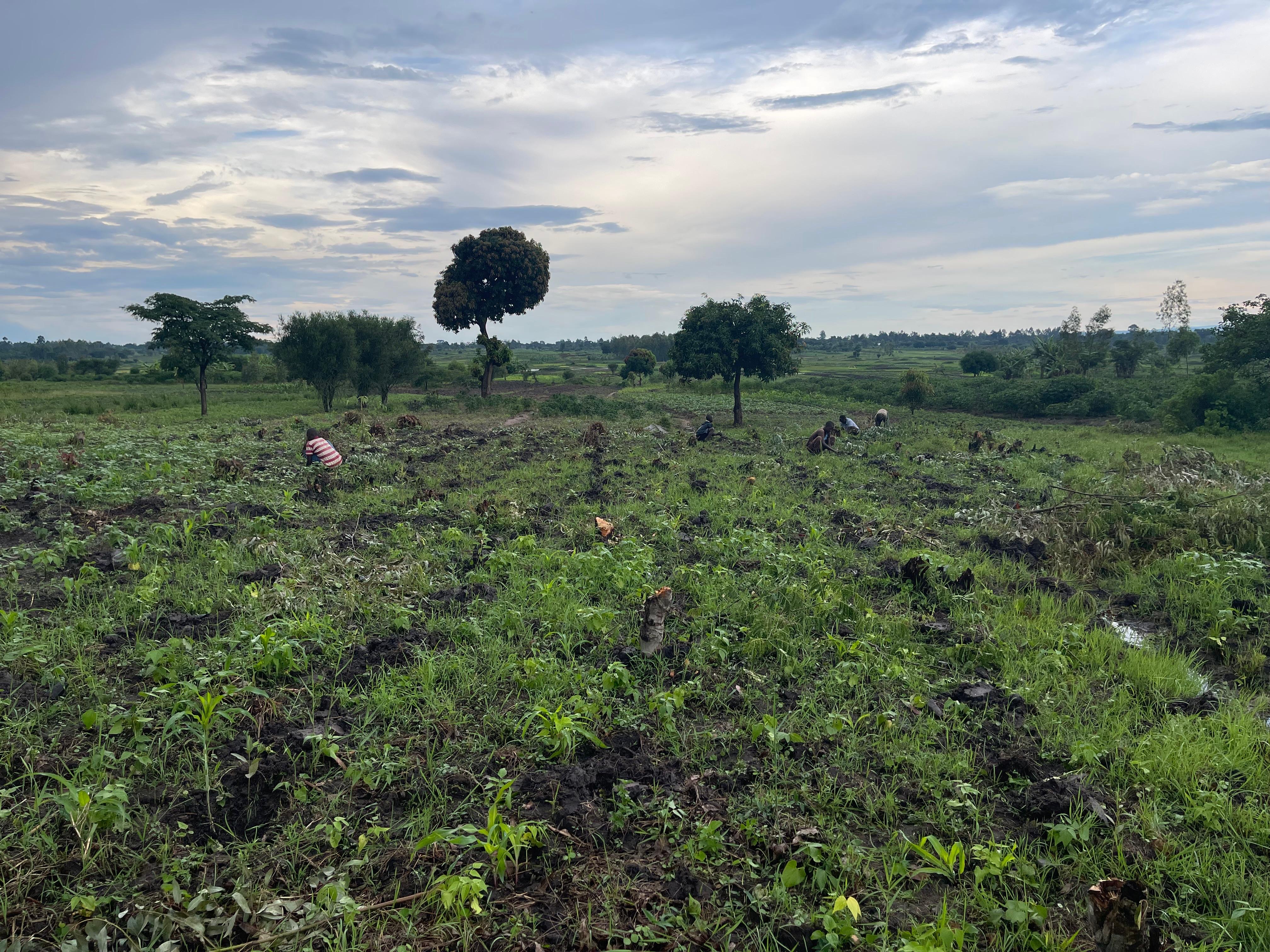Munyona Foundation Gallery Image 64